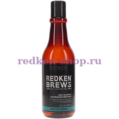 Redken Brews Mint        300 